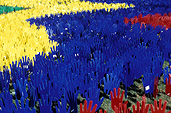 Australia, south Australia, SA, adelaide, rymill park, pattern, patterns, reconcile, reconciliation, Australian artists against racism, AAAR, Native title and reconciliation, native title, native titles, ANTAR, aboriginal, aboriginals, aborigine, aborigines, racism, racist, hand, hands, sea of hands, indigenous, indigenous people, indigenous australians, torres strait islanders.