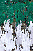 Australia, south Australia, SA, adelaide, rymill park, pattern, patterns, reconcile, reconciliation, Australian artists against racism, AAAR, Native title and reconciliation, native title, native titles, ANTAR, aboriginal, aboriginals, aborigine, aborigines, racism, racist, hand, hands, sea of hands, indigenous, indigenous people, indigenous australians, torres strait islanders.