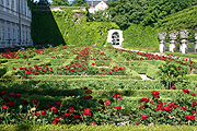 Europe, austria, austrian, salzburg, garden, gardens, mirabell, mirabell garden, mirabell gardens, palace, palaces, mirabell palace, rose, roses, rosa.