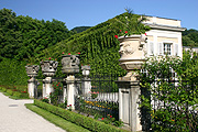 Europe, austria, austrian, salzburg, garden, gardens, mirabell, mirabell garden, mirabell gardens, palace, palaces, mirabell palace, urn, urns, pot, pots, potted, garden pot, garden pots, outdoor pot, outdoor pots.