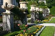 Europe, austria, austrian, salzburg, garden, gardens, mirabell, mirabell garden, mirabell gardens, palace, palaces, mirabell palace, urn, urns, pot, pots, potted, garden pot, garden pots, outdoor pot, outdoor pots.
