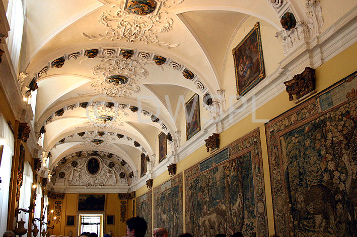 instituto san carlos borromeo madero formar borromeo