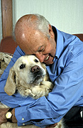 Animal, Animals, dog, dogs, mammal, mammals, placental mammal, placental mammals, carnivore, carnivores, pet, pets, domestic animal, domestic animals, domestic dog, domestic dogs, retriever, retrievers, golden retriever, golden retrievers, man, men, male, males, old, aged, elderly, elderly man, elderly men, old man, old men, aged people, hug, hugs, hugging, Australia, Sport pictures, Sports, balloon images, hot air balloons