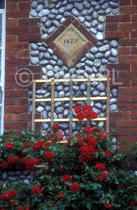 stock photo image: Garden, gardens, plaque, plaques, wall, walls, garden wall, garden walls, rose, roses, rosa, red, red flower, red flowers.