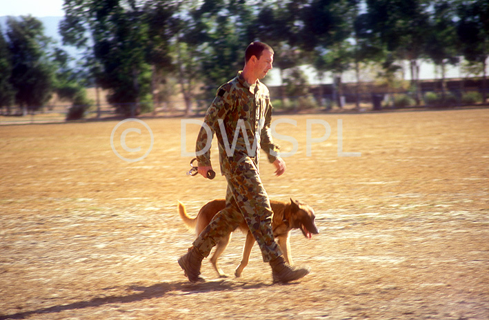 stock photo image: Australia, Australian, dog, dogs, army, australian army, armed forces, soldier, soldiers, uniform, uniforms, people, man, men, male, males, occupation, ocupations, hat, hats, military, military, defence, defence forces, armed servicesPS11,