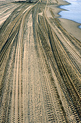 Australia, qld, queensland, beach, beaches, seashore, seashores, tyre, tyres, track, tracks, environmental, environment, environmental damage, sand.