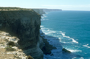 Australia, SA, South Australia, Great Australian Bight, Nullarbor, Nullarbor plains, Nullarbor cliffs, nullarbor plains, southern ocean, cliff, cliffs, coast, coastal, coastline, coastlines.