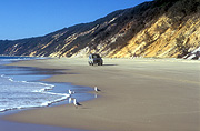 Australia, australian, qld, queensland, rainbow, rainbow beach, beach, beaches, transport, transportation, vehicle, vehicles, four-wheel drive, four-wheel drives, 4wd, 4wds, vehicle, vehicles, sand, coast, coasts, coastline, coastlines, cliff, cliffs, bird, birds, gull, gulls, seagull, seagulls, seashore, seashores, shoreline, shorelines.