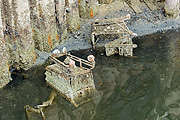 Australia, trolley, trolleys, shopping trolley, shopping trolleys, dumped shopping trolley, dumped shopping trolleys, pollution, quarry, quarries, rubbish, garbage, waste, littered, litter, litters, littering.