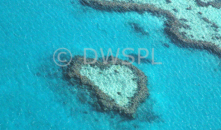 AERIAL OF LOVE HEART REEF IN THE WHITSUNDAY ISLANDS, GREAT BARRIER REEF, 