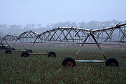 Australia, qld, queensland, warwick, irrigation, rural, rural scene, rural scenes, farming, agriculture, rain, rains, raining.