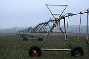 Australia, qld, queensland, warwick, irrigation, rural, rural scene, rural scenes, farming, agriculture, rain, rains, raining.
