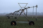 Australia, qld, queensland, warwick, irrigation, rural, rural scene, rural scenes, farming, agriculture, rain, rains, raining.