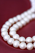 Jewellery, necklace, necklaces, pearl, pearls, pearl necklace, pearl necklaces, string of pearls.