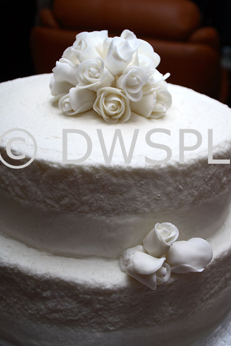 SIMPLY DECORATED TWO TIER ICED WEDDING CAKE Reference Number 102813