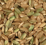 Agriculture, rice paddy, paddy, paddies, rice paddies, rice field, rice fields, organic, organic rice.