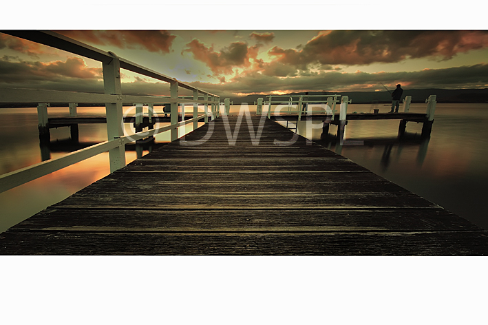 illawarra