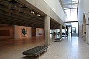 Australia, New South Wales, sydney, gallery, galleries, art, art gallery, art galleries, art gallery of new South Wales, art gallery of nsw.