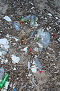 Australia, New South Wales, sydney, kirribilli, low tide, tide, tides, tidal, Pollution, pollute, pollutants, polluting, water pollution, waterway, waterways, rubbish, garbage, environmental damage, littered, litter, litters, littering.