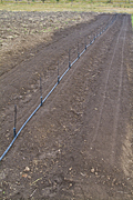 Australia, rural, rural scene, rural scenes, field, fields, irrigate, irrigates, irrigation, mpo3,