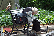 Australia, sydney, nsw, new South Wales, people, park, parks, hyde, hyde park, woman, women, female, females, homeless, homeless people, homeless woman, homeless men, bird, birds, pigeon, pigeons.
