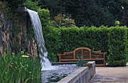 Garden, Gardens, waterfalls, Waterfalls, bench, benches, garden bench, garden benches, outdoor furniture, pond, ponds, garden pond, gardenponds, hedge, hedges, hedging, privacy, windbreaks, garden furniture,