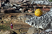 Australia, New South Wales, sydney, bondi, bondi beach, art, exhibition, exhibitions, art, art exhibition, art exhibitions, sculpture, sculptures, sculptures by the sea, sculptures by the sea exhibition, coast, coasts, coastal, coastline, coastlines.