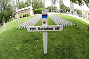 Australia, SA, South Australia, Adelaide, memorial, memorials, battalion, battalions, remembrance, remembrance day, remembrance days, armistice, armistice day, armistice days, cross, crosses, poppy, poppies, flanders, flanders poppy, flanders poppies, war, wars, world war 1, world war one, world war 2, world ward two, WW1, WW2.
