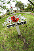 Australia, SA, South Australia, Adelaide, memorial, memorials, committee, committees, remembrance, remembrance day, remembrance days, armistice, armistice day, armistice days, cross, crosses, poppy, poppies, flanders, flanders poppy, flanders poppies, war, wars, world war 1, world war one, world war 2, world ward two, WW1, WW2.