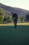 Sport, golf, golf game, golf games, golf course, golf courses, men, man, male, males, golf club, golf clubs, australia, stroke, strokes, outdoors.