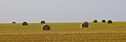 Australia, sa, south australia, Rural, Rural Scene, Rural Scenes, Agriculture, farm, farms, Farming, Farmland, farm, farms, hay, bale, bales, baler, balers, hay bale, hay bales, crop, crops, straw, straw bale, straw bales.