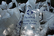 Australia, New South Wales, sydney, pollution, rubbish, garbage, littered, litter, litters, littering, bag, bags, australia day, australia day clean up, clean, cleans.