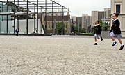 Australia, vic, victoria, melbourne, architecture, museum, museums, melbourne museum, framework, frame, frames, glass.