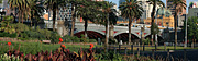 Australia, vic, victoria, melbourne, garden, gardens, alexandra, alexandra gardens, princess, princess bridge, architecture, bridge, bridges, tree, trees, palm tree, palm trees, park, parks.