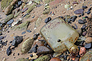 Australia, New South Wales, sydney, harbour, harbours, sydney harbour, pollution, water pollution, bottle, bottles, glass, glass bottle, glass bottles, sand, beach, beaches.