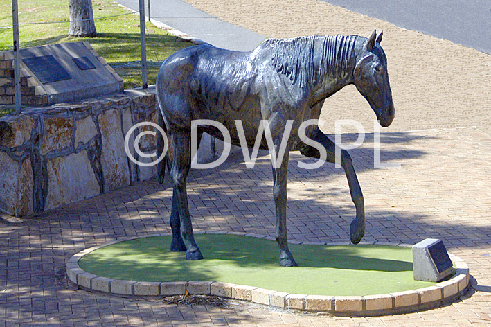 stock photo image: Australia, wa, western australia, norseman, hardy norseman, statue, statues, horse, horses.