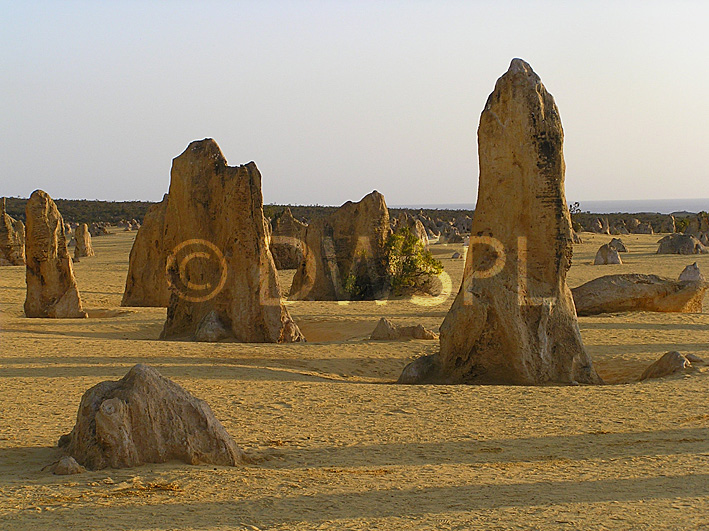 stock photo image: Australia, Australian, Australian desert, Australian deserts, western australia, wa, Nambung, Nambung NP, Nambung National Park, National park, national parks, pinnacle, pinnacles, pillar, pillars, limestone, limestone pillar, limestone pillars, desert, deserts, desert scenes, outback, australia outback, sand, dry, PA76,