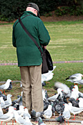 People, man, men, male, males, aged, old, elderly, old man, old men, aged man, aged men, elderly man, elderly men, elderly people, old people, aged people, bird, birds, pigeon, pigeons, seagull, seagulls.