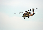 Australia, New South Wales, sydney, transport, transportation, vehicle, vehicles, aviation, helicopter, helicopters, chopper, choppers, armed forces, army, australian, australian army, blackhawk, blackhawk helicopter, blackhawk helicopters.