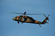 Australia, New South Wales, sydney, transport, transportation, vehicle, vehicles, aviation, helicopter, helicopters, chopper, choppers, armed forces, army, australian, australian army, blackhawk, blackhawk helicopter, blackhawk helicopters.