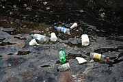 Australia, New South Wales, sydney, harbour, harbours, sydney harbour, pollution, water pollution, pollute, pollutes, polluting, plastic, bottle, bottles, plastic bottle, plastic bottles.