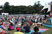 Australia, New South Wales, sydney, domain, crowd, crowds, festival, festivals, sydney festival.
