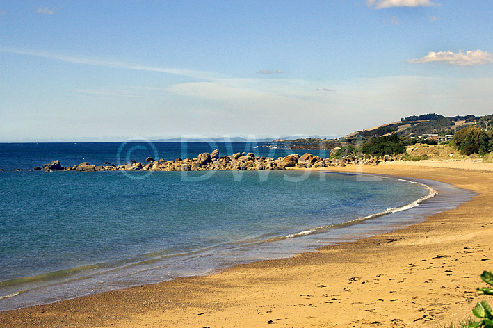 stock photo image: Australia, tasmania, tassie, tas, coast, coasts, coastal, coastline, coastlines, beach, beaches, penguin.