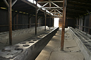 Poland, Oswiecim, oshwiecim, prison, prisons, jail, jails, gaol, gaols, auschwitz, birkenau, auschwitz-birkenau, murder, murders, crime, crimes, criminal, genocide, tragedy, tragedies, concentration camp, concentration camps, exterminate, exterminated, extermination camp, extermination camps, nazi, nazis, genocide, himmler, galacia, death, death camp, death camps, toilet, toilets