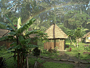 Amazon, rainbow, rainbows, jungle, jungles, hut, huts