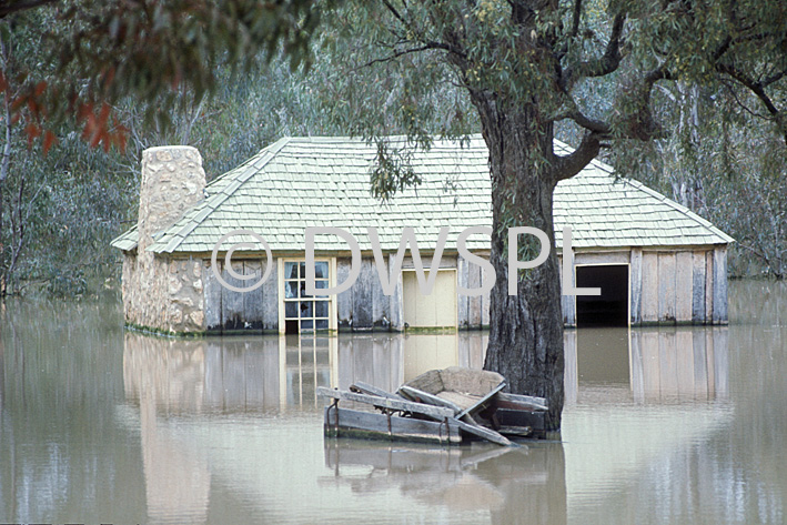 stock photo image: Australia, New South Wales, disaster, disasters, flood, floods, flooding, flooded, river, rivers, namoi, namoi river, water, wee waa, tree, trees, cottage, cottages, roof, roofs, rooves, chimney, chimneys.