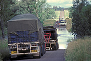 Australia, qld, queensland, eungella, disaster, disasters, flood, floods, flooding, creek, creeks, clovernook, clovernook creek, transport, truck, trucks, people, river, rivers.
