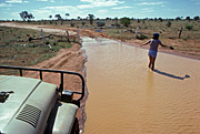 Australia, New South Wales, milparinka, disaster, disasters, flood, floods, flooding, flooded, outback, australian outback, road, roads, unsealed, unsealed road, unsealed roads, woman, women, female, females, people.