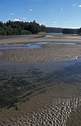 Australia, New South Wales, seven mile, seven mile beach, seven mile beach NP, National Park, National Parks, seven mile beach national park, river, rivers, crooked, crooked river, water, sand.