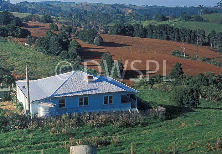 stock photo image: Australia, New South Wales, farm, farms, farming, farm house, farm houses, architecture, rural, rural scene, rural scenes, windbreak, windbreaks, tree, trees, field, fields, paddock, paddocks.